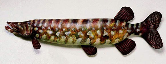 Bill Abright - Ceramic Fish-Pikenose