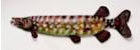 Bill Abright Ceramic fish-Pikenose